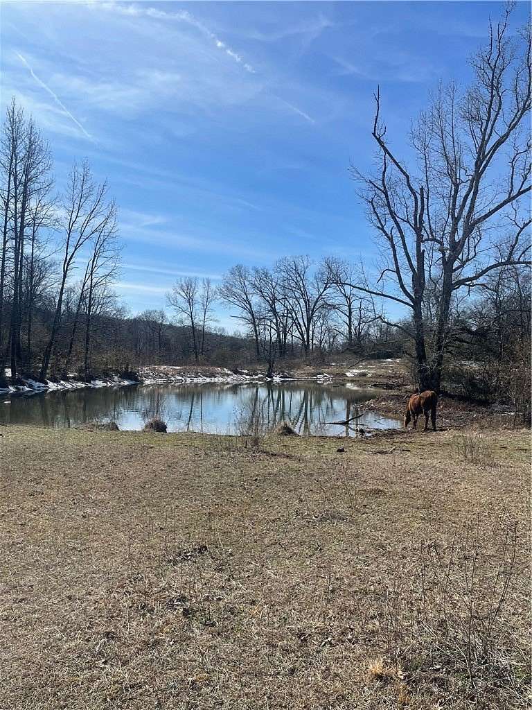 66.5 Acres of Land for Sale in Malvern, Arkansas