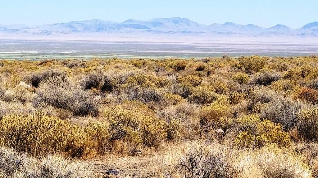10 Acres of Recreational & Residential Land for Sale in Winnemucca, Nevada