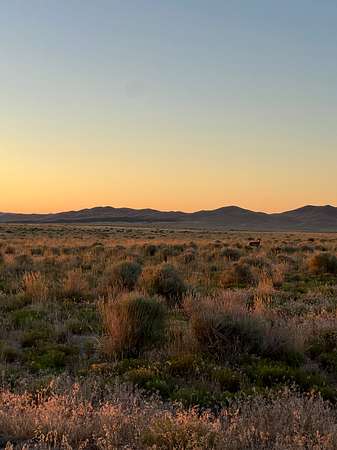 20 Acres of Recreational Land for Sale in Milford, Utah