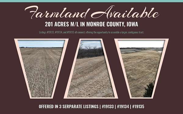 141 Acres of Agricultural Land for Sale in Albia, Iowa
