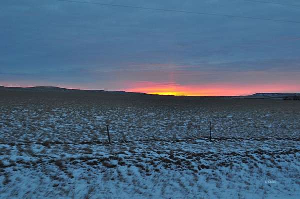 287 Acres of Agricultural Land for Sale in Bloomfield, Montana