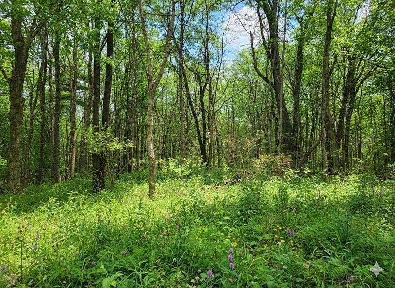 Residential Land for Sale in Carbondale, Illinois