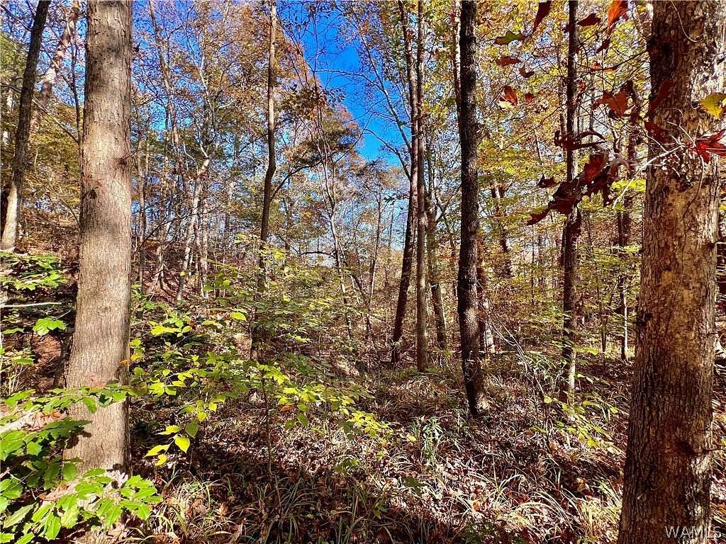 3.56 Acres of Residential Land for Sale in Northport, Alabama