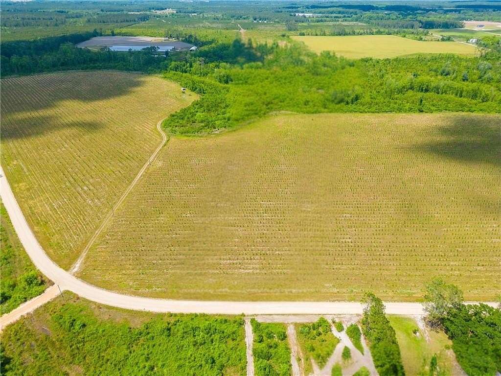 3 Acres of Residential Land for Sale in Baxley, Georgia