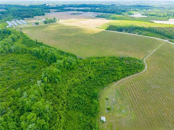 3 Acres of Residential Land for Sale in Baxley, Georgia