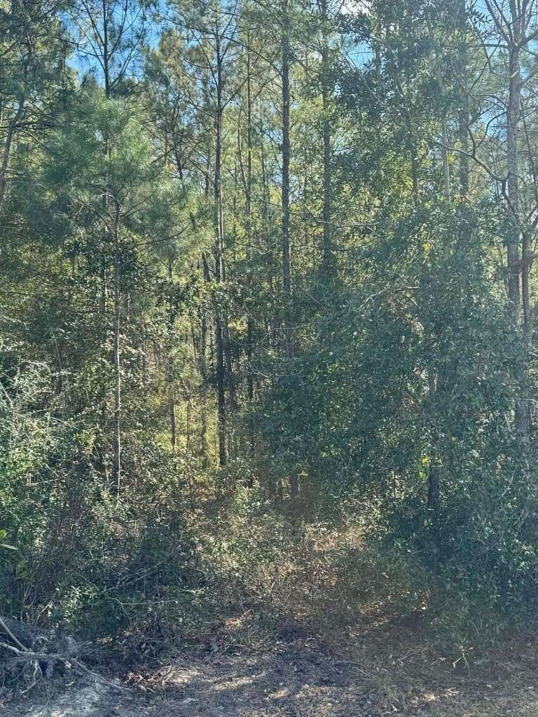 6.45 Acres of Residential Land for Sale in Wewahitchka, Florida