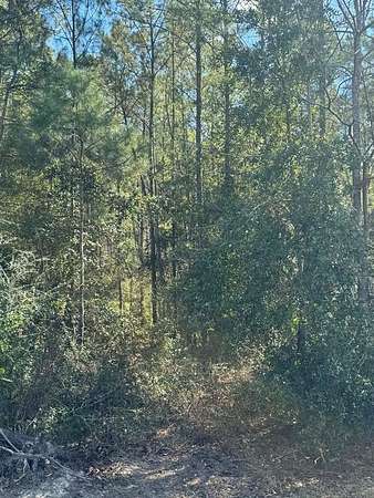 6.45 Acres of Land for Sale in Wewahitchka, Florida