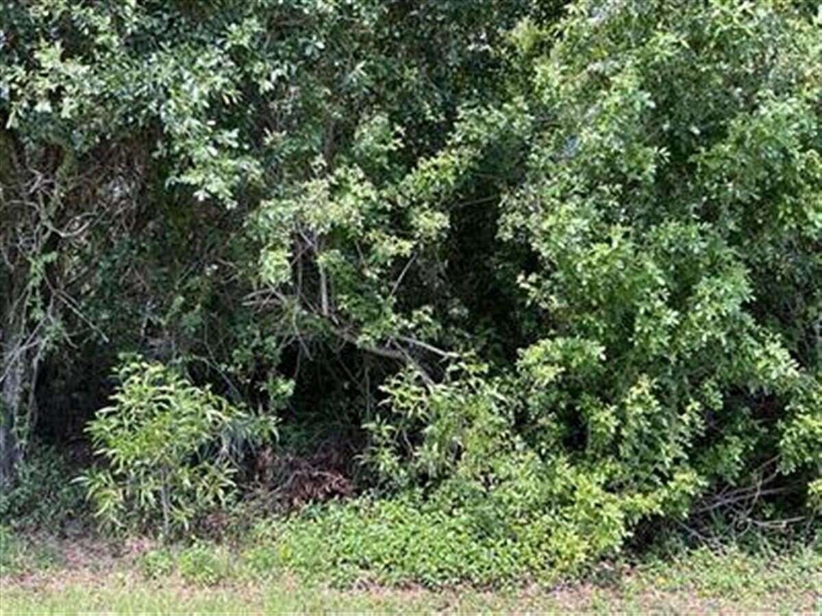 Residential Land for Sale in Port St. Lucie, Florida