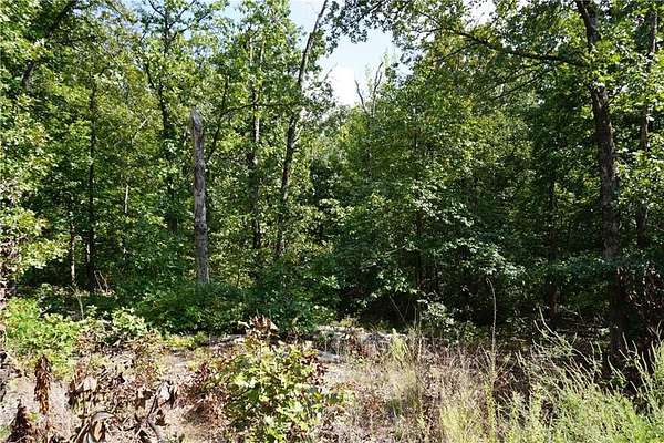 0.28 Acres of Residential Land for Sale in Bella Vista, Arkansas
