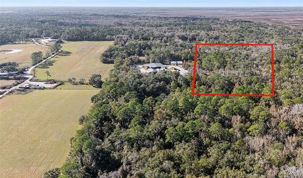 15.2 Acres of Recreational & Residential Land for Sale in Micanopy, Florida