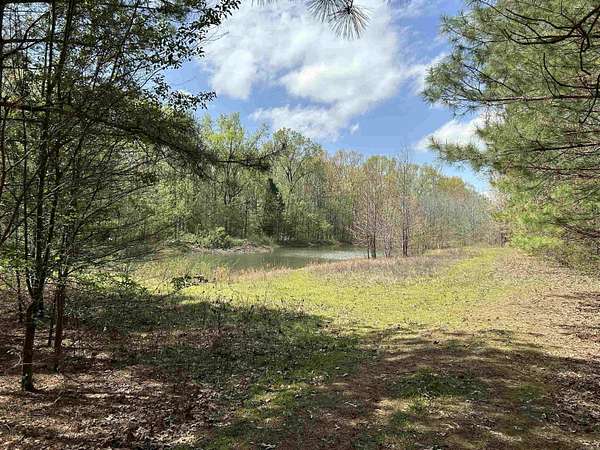 19.9 Acres of Land for Sale in Vilonia, Arkansas