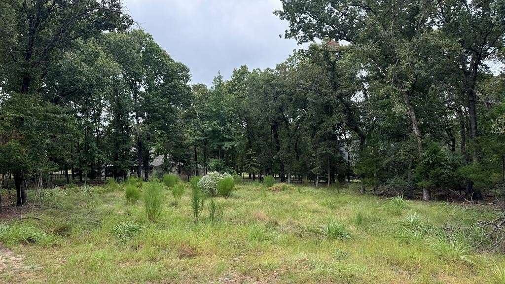 0.42 Acres of Residential Land for Sale in Athens, Texas