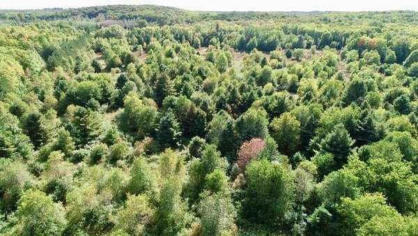 26 Acres of Land for Sale in McMillan, Michigan