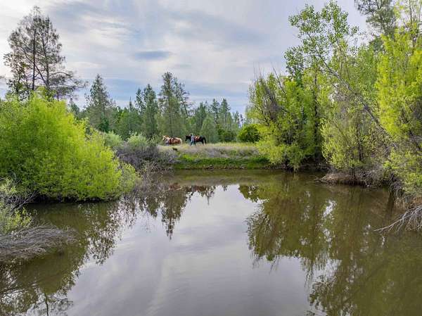 480 Acres of Recreational Land & Farm for Sale in Cottonwood, California
