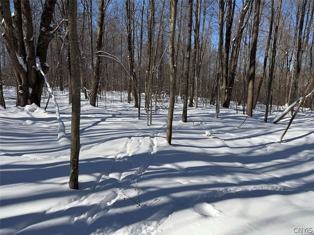 10 Acres of Recreational Land for Sale in Franklinville, New York