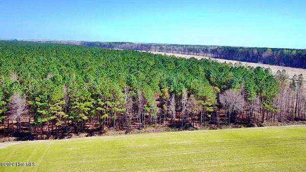 116 Acres of Recreational Land for Sale in Bath, North Carolina