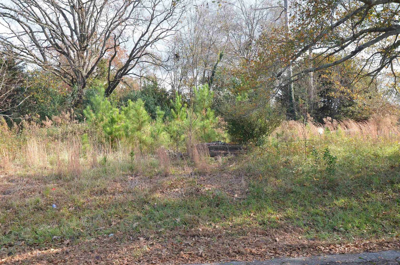 0.17 Acres of Residential Land for Sale in Iva, South Carolina