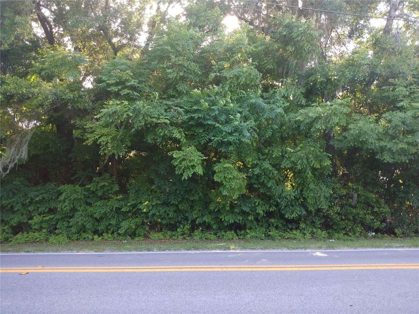 15.6 Acres of Land for Sale in Geneva, Florida