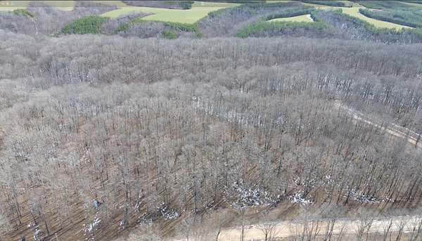 5 Acres of Residential Land for Sale in Hurricane Mills, Tennessee