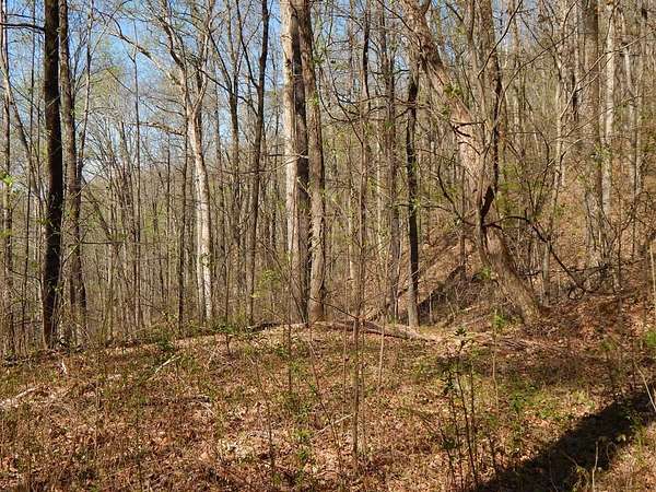 3.53 Acres of Land for Sale in Hayesville, North Carolina