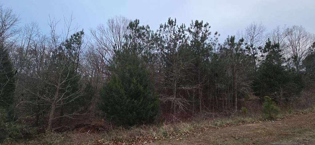 0.8 Acres of Residential Land for Sale in Greenwood, South Carolina