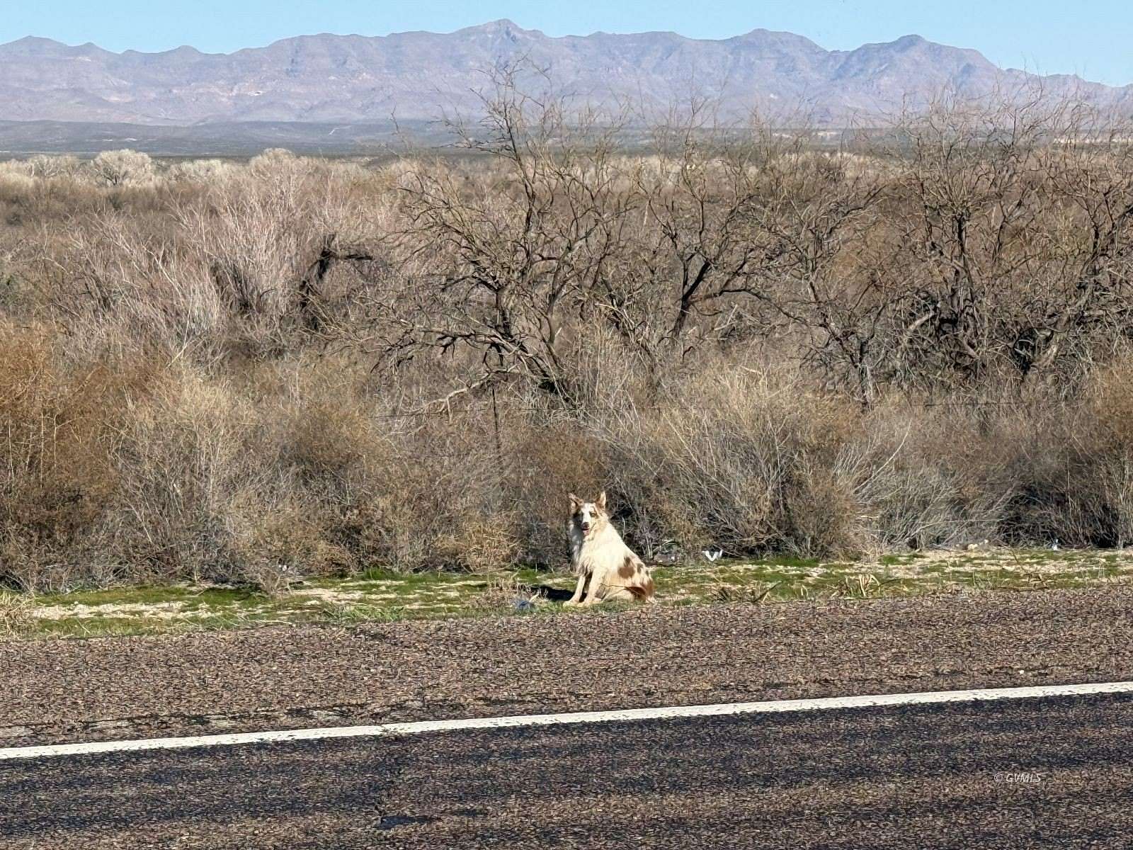 78 Acres of Agricultural Land for Sale in Pima, Arizona