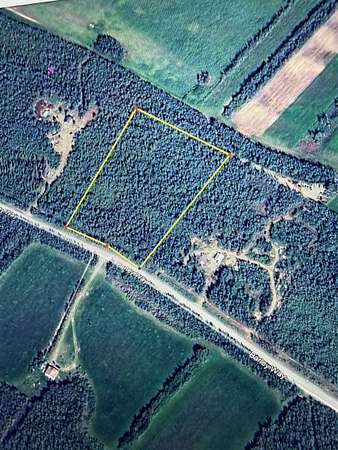 4.6 Acres of Residential Land for Sale in Delta Junction, Alaska