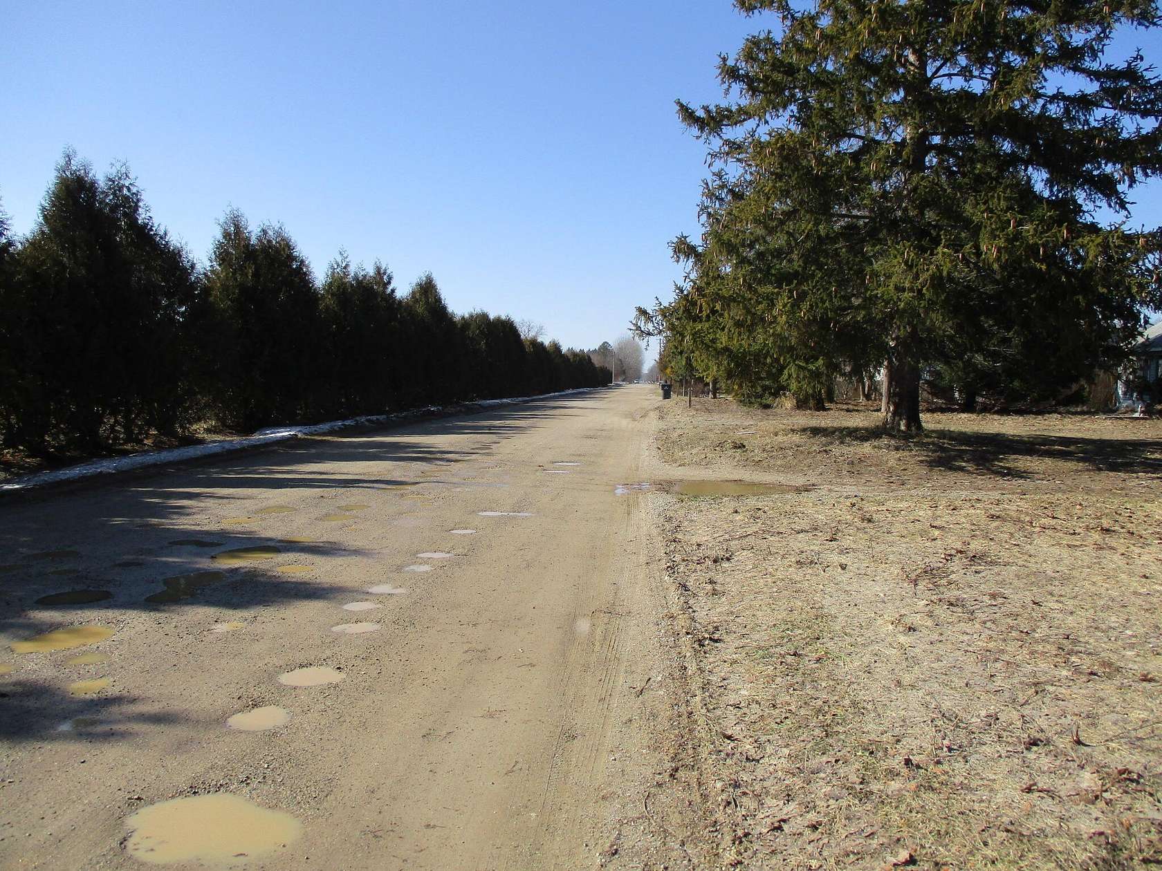 0.25 Acres of Residential Land for Sale in Grand Junction, Michigan