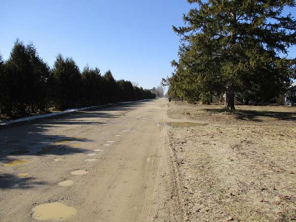 0.25 Acres of Residential Land for Sale in Grand Junction, Michigan