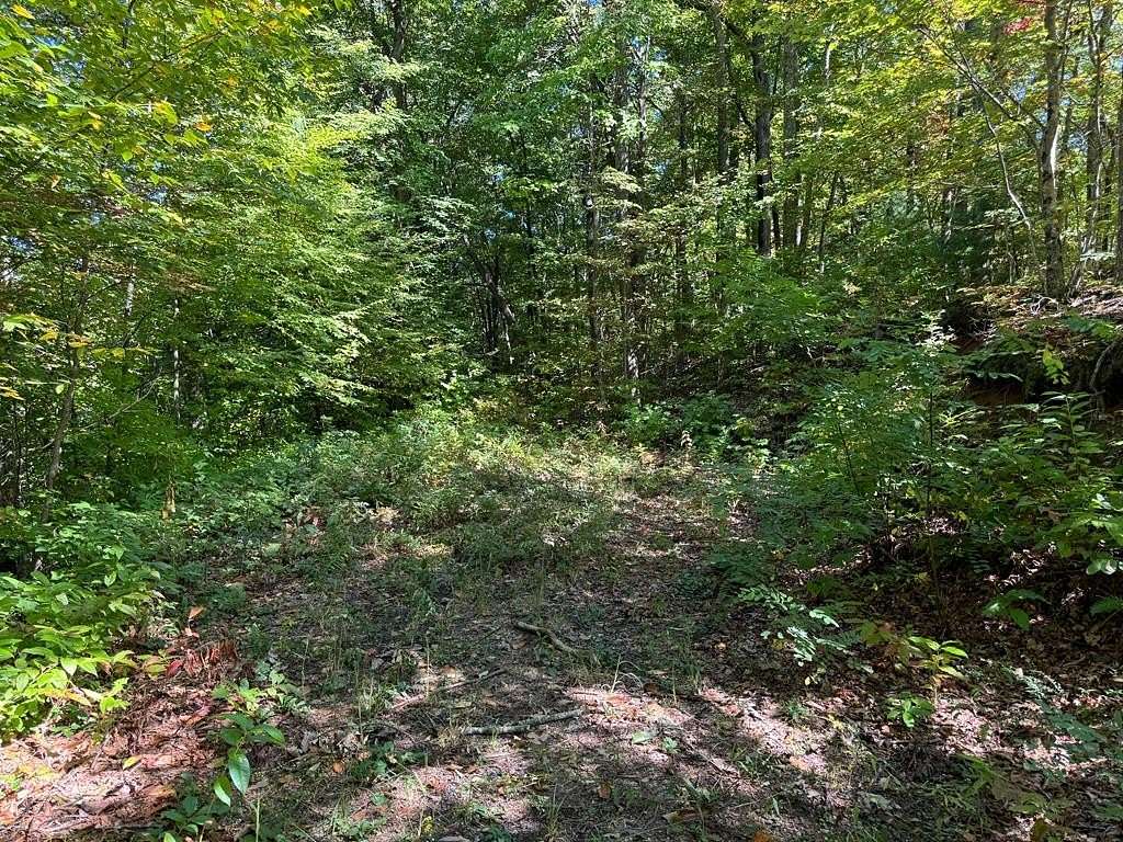 4 Acres of Land for Sale in Hayesville, North Carolina