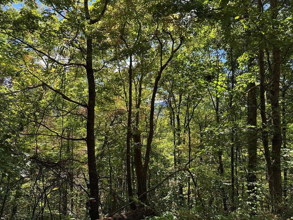 1.4 Acres of Land for Sale in Hayesville, North Carolina