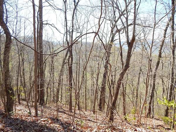 4 Acres of Land for Sale in Hayesville, North Carolina