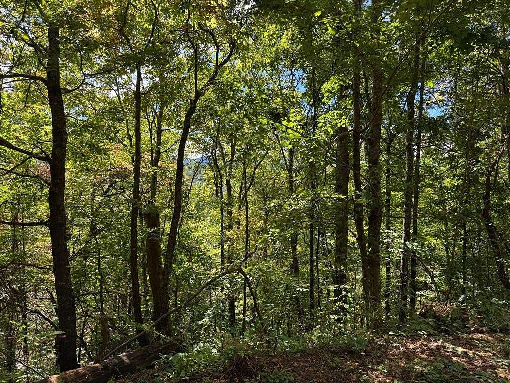 1.43 Acres of Land for Sale in Hayesville, North Carolina
