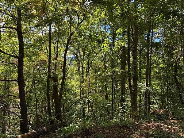 1.43 Acres of Land for Sale in Hayesville, North Carolina