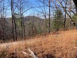 0.71 Acres of Residential Land for Sale in Ellijay, Georgia