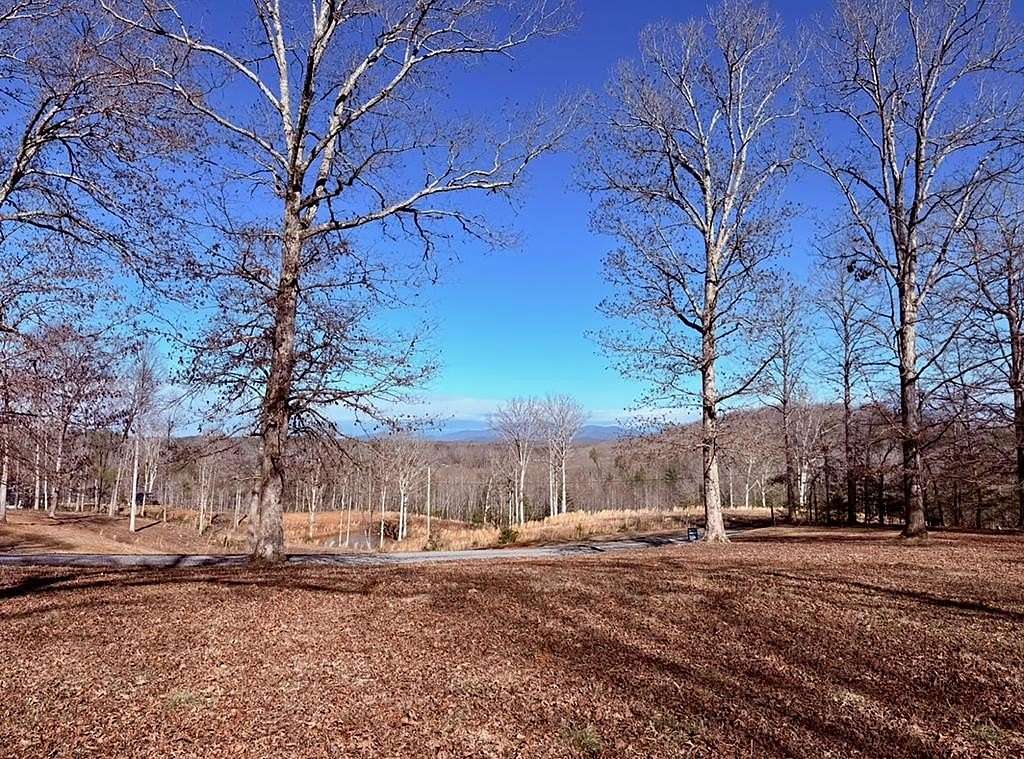 1 Acre of Residential Land for Sale in Blue Ridge, Georgia