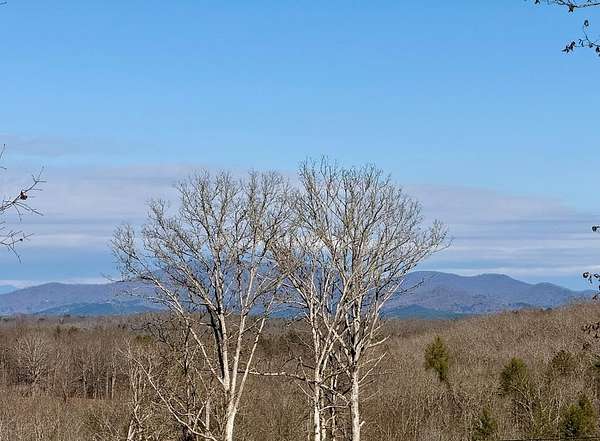 1 Acre of Residential Land for Sale in Blue Ridge, Georgia