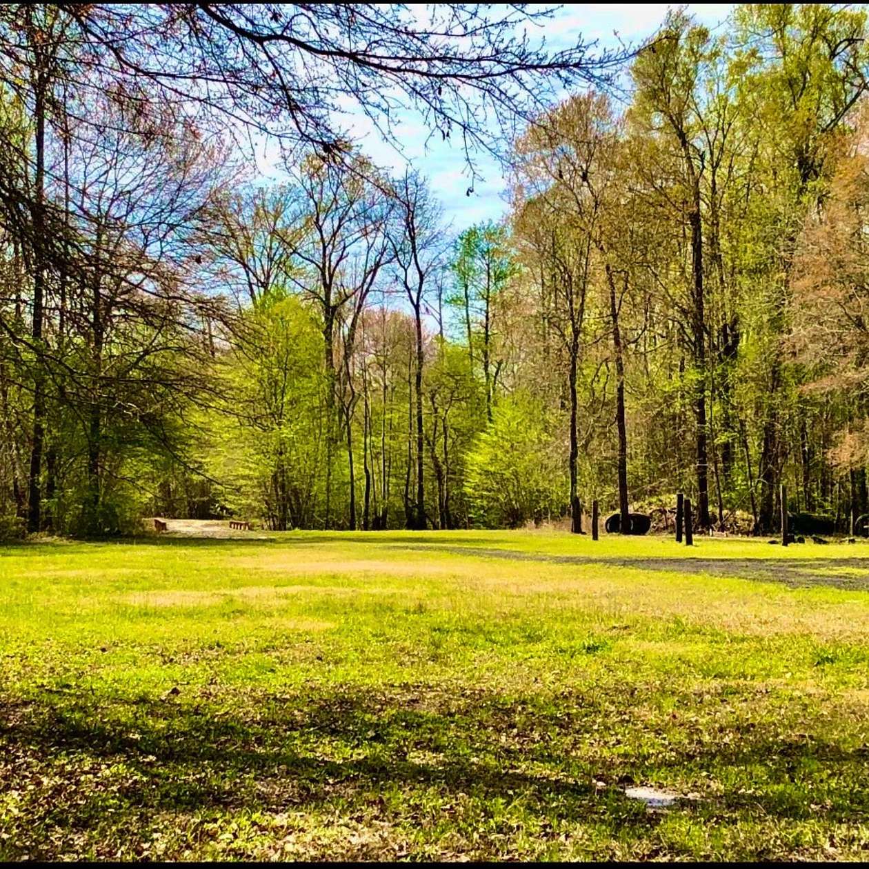 140 Acres of Recreational Land for Sale in Reevesville, South Carolina