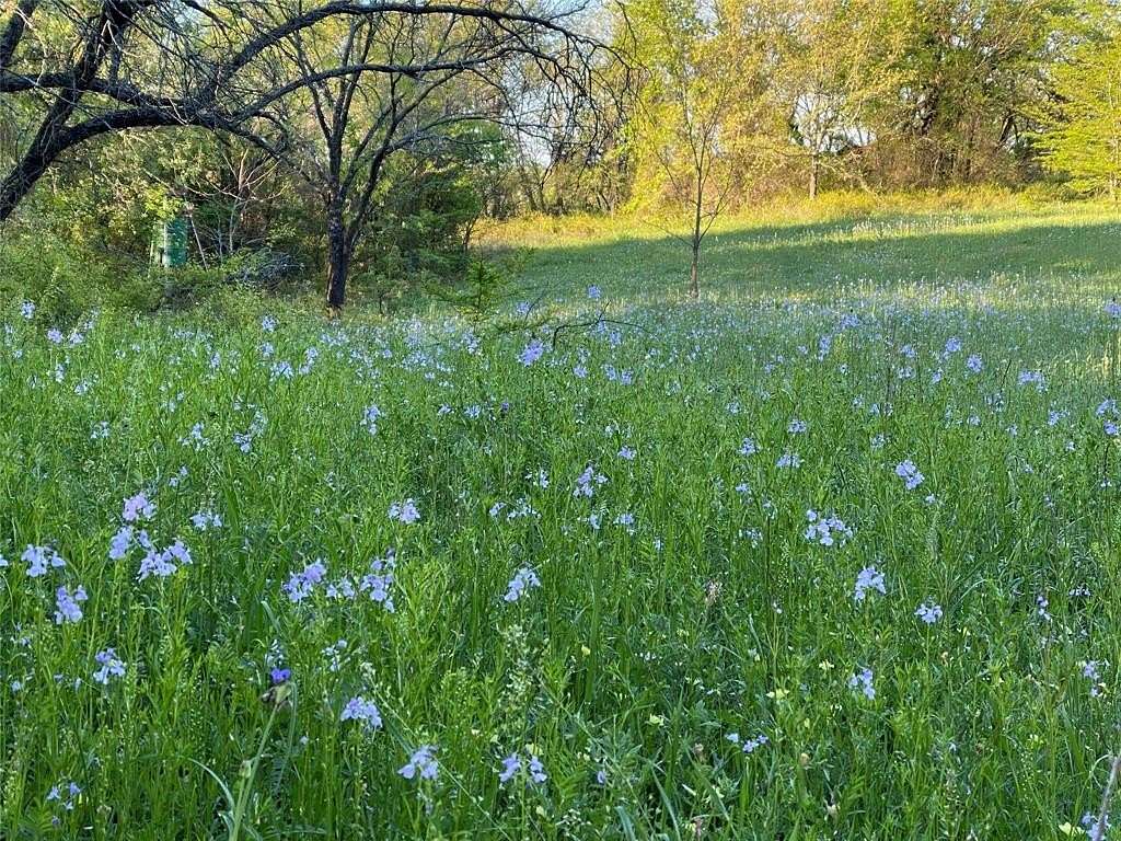 185 Acres of Land for Sale in Nocona, Texas