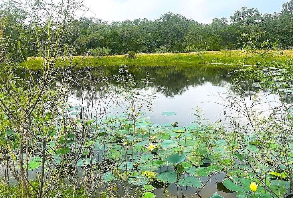 33.4 Acres of Land for Sale in Hallettsville, Texas