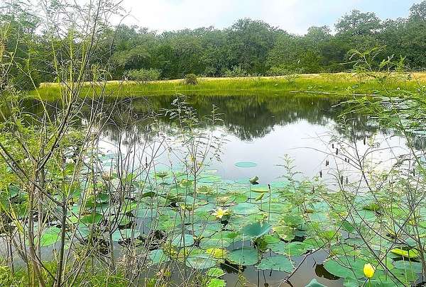 33.4 Acres of Land for Sale in Hallettsville, Texas