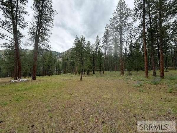 5.16 Acres of Residential Land for Sale in North Fork, Idaho