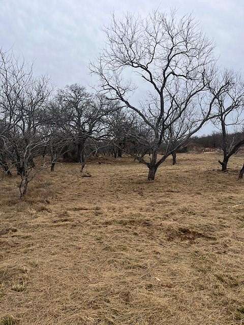 17.2 Acres of Land for Sale in Jacksboro, Texas