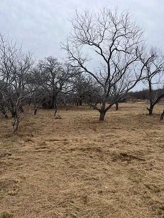 17.2 Acres of Land for Sale in Jacksboro, Texas