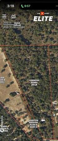 12.1 Acres of Recreational Land for Sale in Athens, Texas