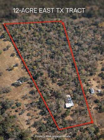 12.1 Acres of Recreational Land for Sale in Athens, Texas