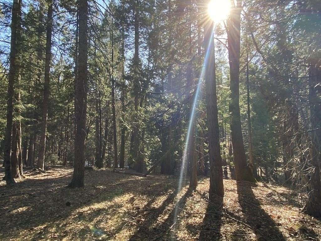 2.68 Acres of Residential Land for Sale in McCloud, California