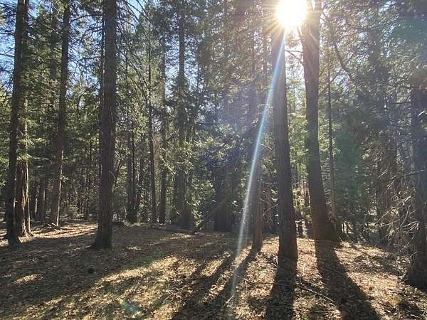 2.68 Acres of Residential Land for Sale in McCloud, California