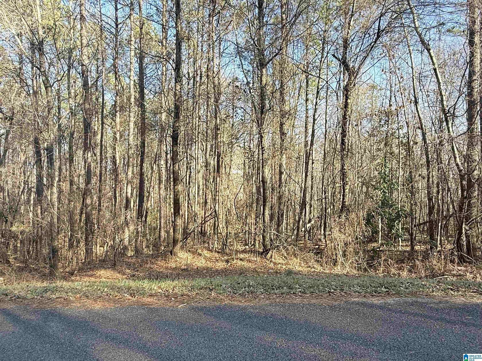 1.28 Acres of Residential Land for Sale in Glencoe, Alabama