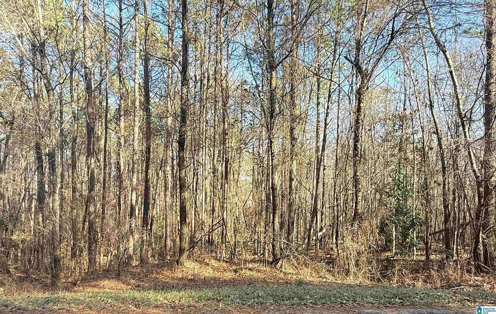 1.28 Acres of Residential Land for Sale in Glencoe, Alabama